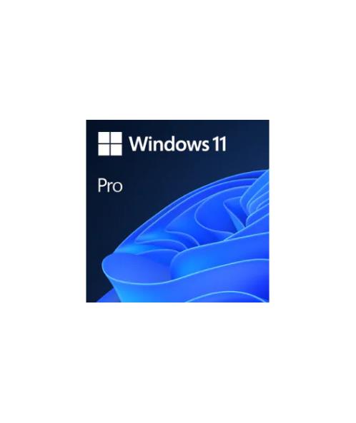 Windows 11 Professional-ElektronikLisans FQC-10572